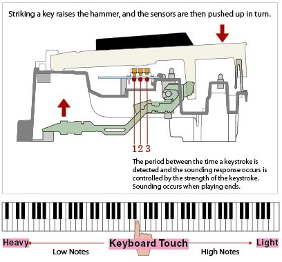 Striking a key raises the hammer, and the sensors are then pushed up in turn. 