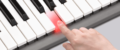 3-Step Lesson Follow the keyboard lights to master keyboard play at your own pace.