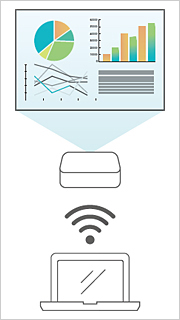 Network Connection (Option)