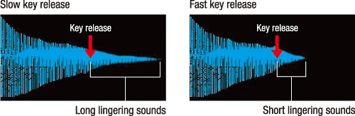 Key Off Simulator