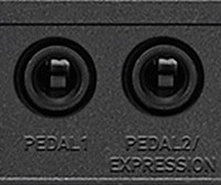 Lots of Expansion Ports for Easier Performance, Songwriting and Editing